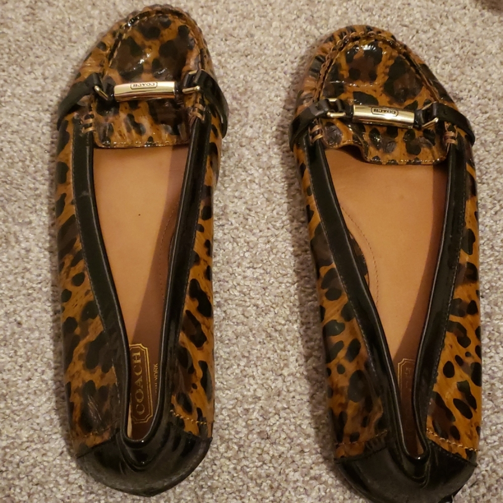 NICE Coach Loafers